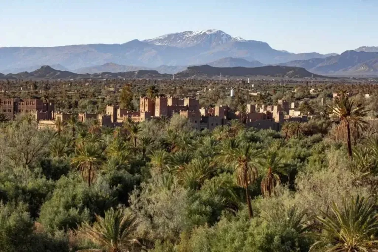 Palmeraie de Skoura, Maroc.
