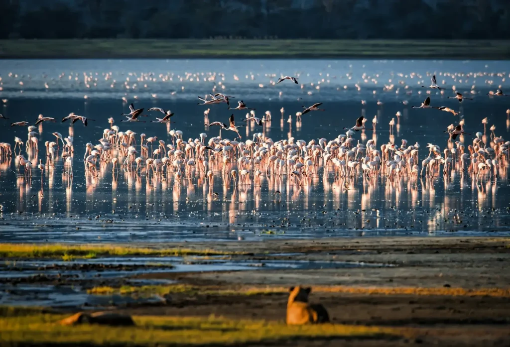 Landscape of Tanzania.