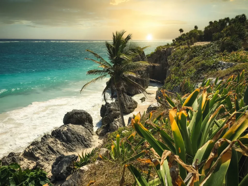 green palm tree near body of water tulum mexico