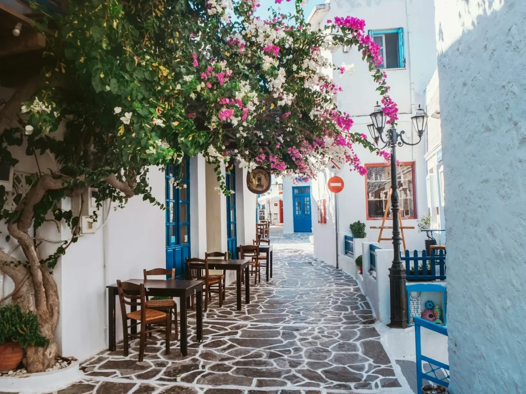 A pink-flowered tree in Greece.