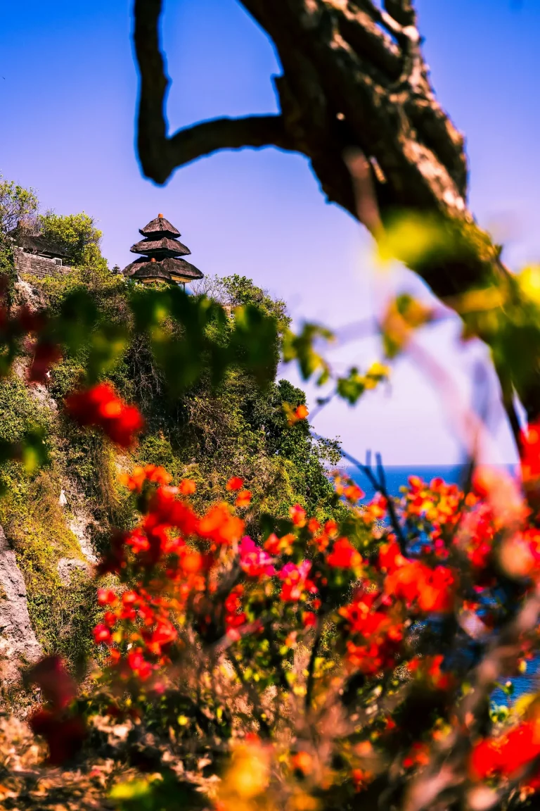 Fleurs en fleurs avec le temple Uluwatu en arrière-plan