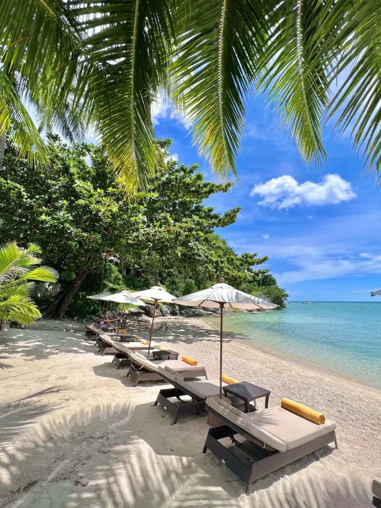 Plage de sable avec chaises longues et parasols