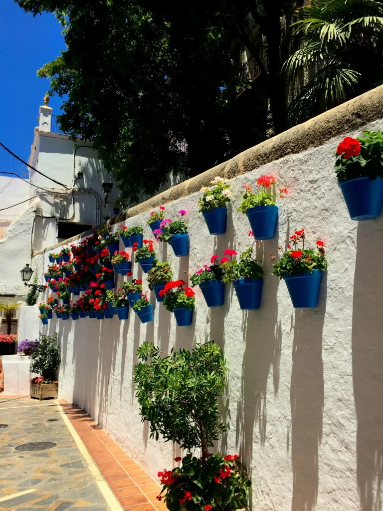 Fleur en pot suspendue sur un mur pendant la journée