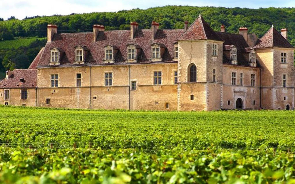 French vineyard with castle in the background
