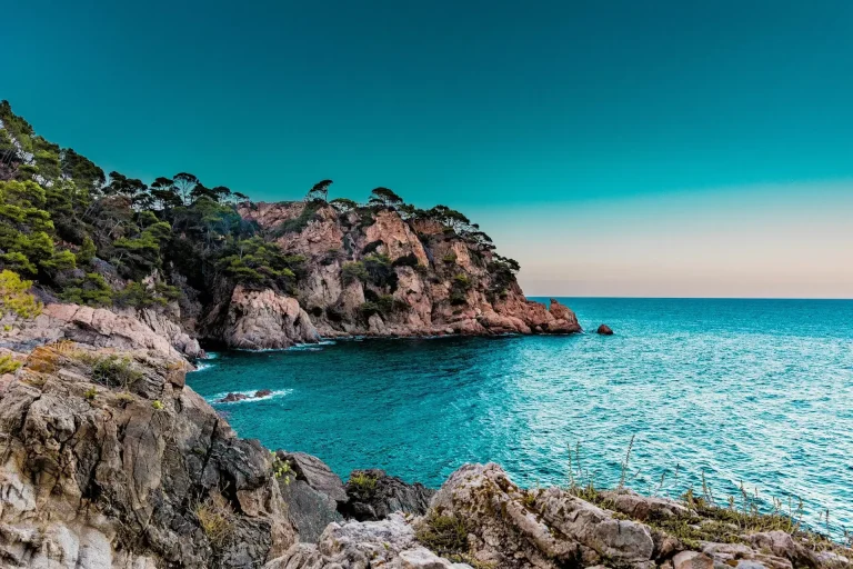 Île couverte d'arbres verts