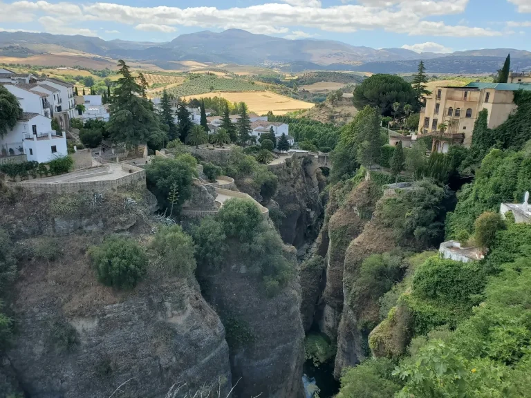 Arbres verts sur une montagne pendant la journée