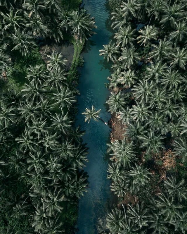 La meilleure île d'Asie selon les voyageurs.