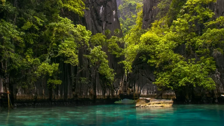 Nature exotique à Coron.